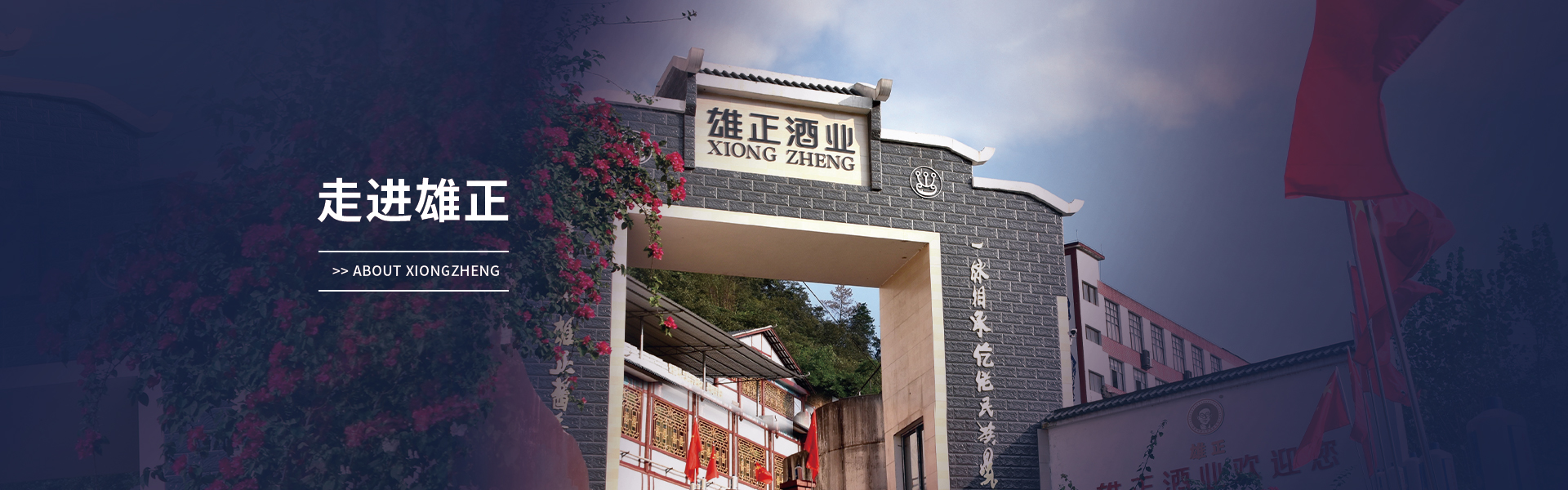走进雄正