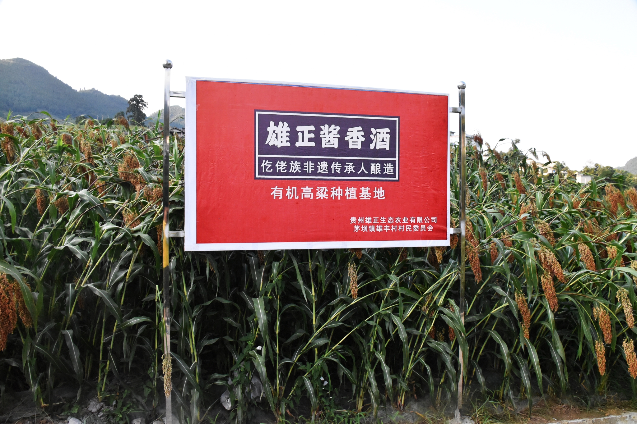 微信图片_202306121800100.jpg