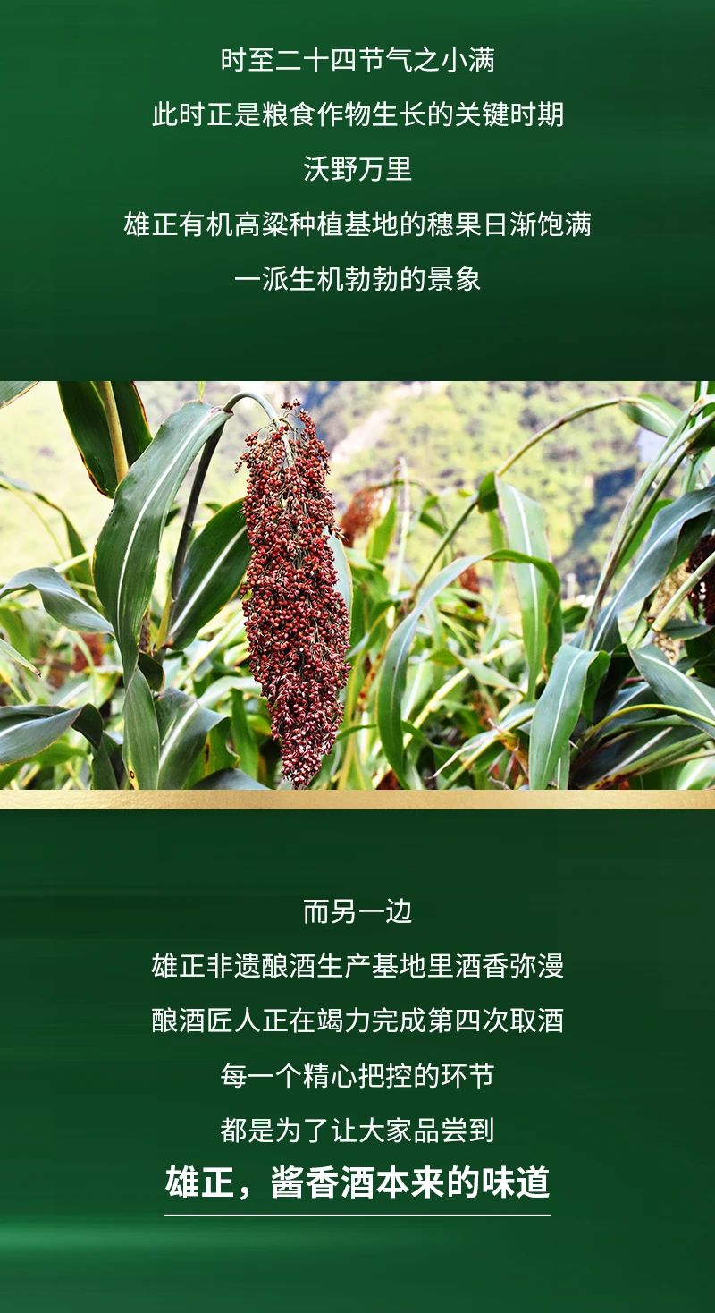 微信图片_20250312133318.jpg