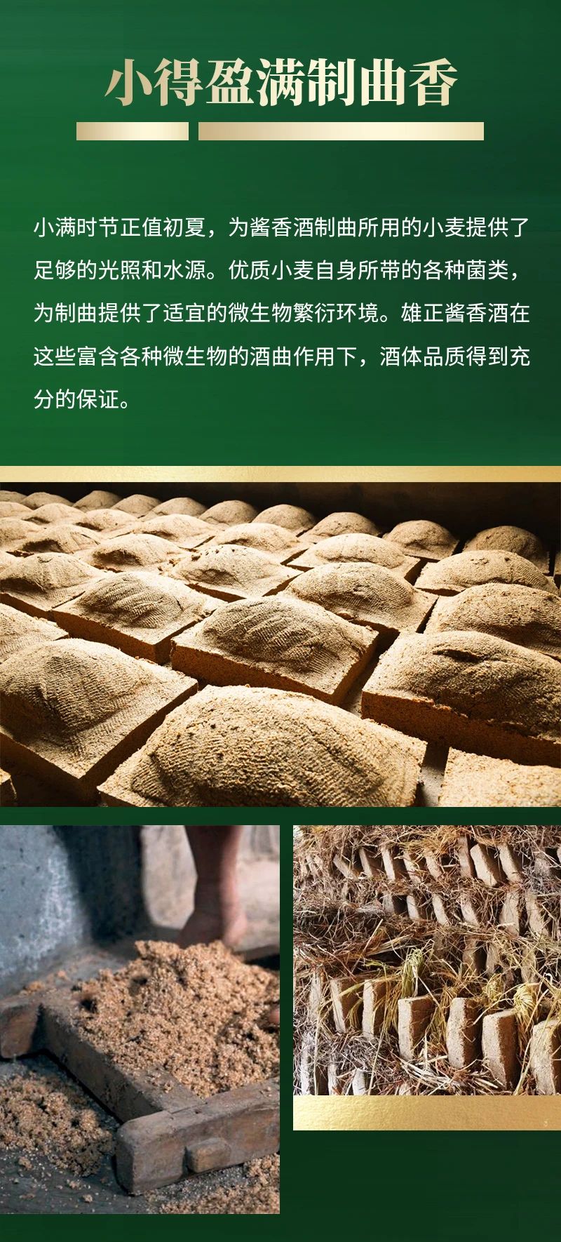 微信图片_20250312133324.jpg
